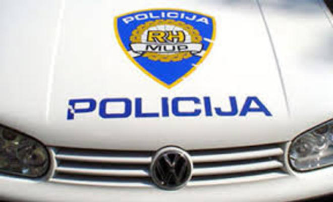 Large_policija_hauba